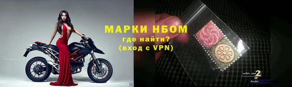 дмт Арсеньев